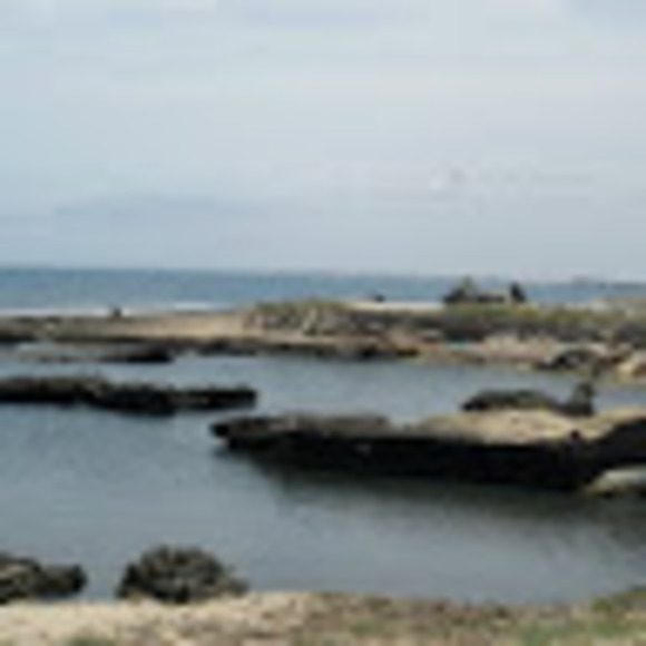 smoalla